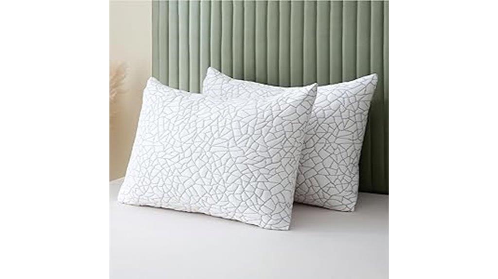bamboo rayon queen pillows