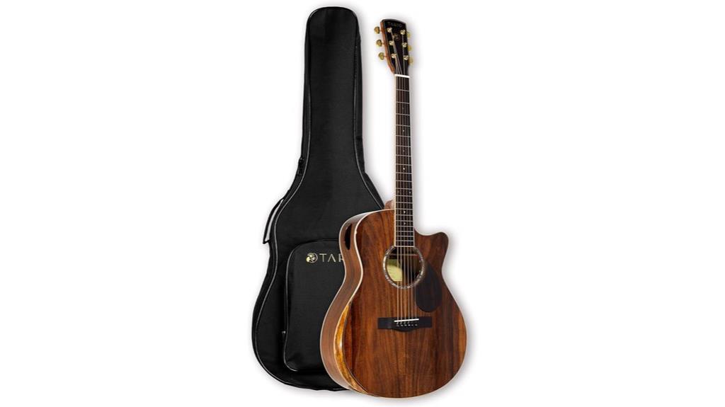 electric acoustic guitar model