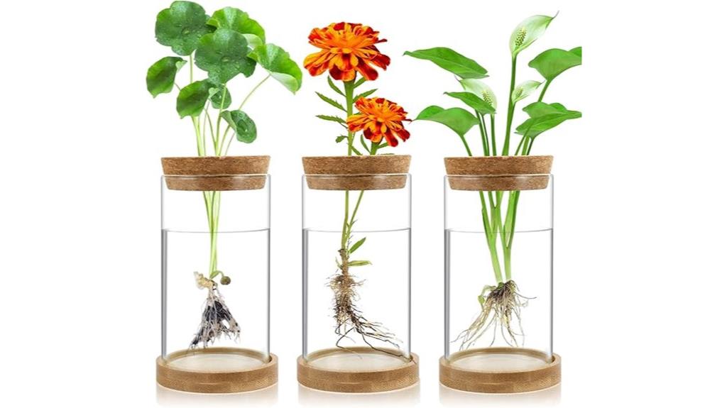 hydroponic plant propagation vases