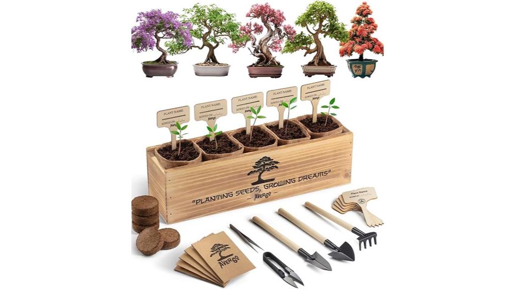 indoor bonsai growing kit