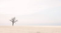 minimalist color mood setting