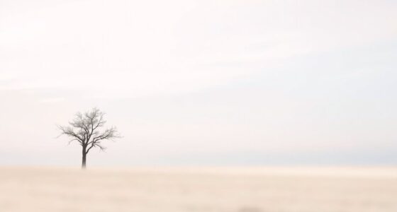 minimalist color mood setting