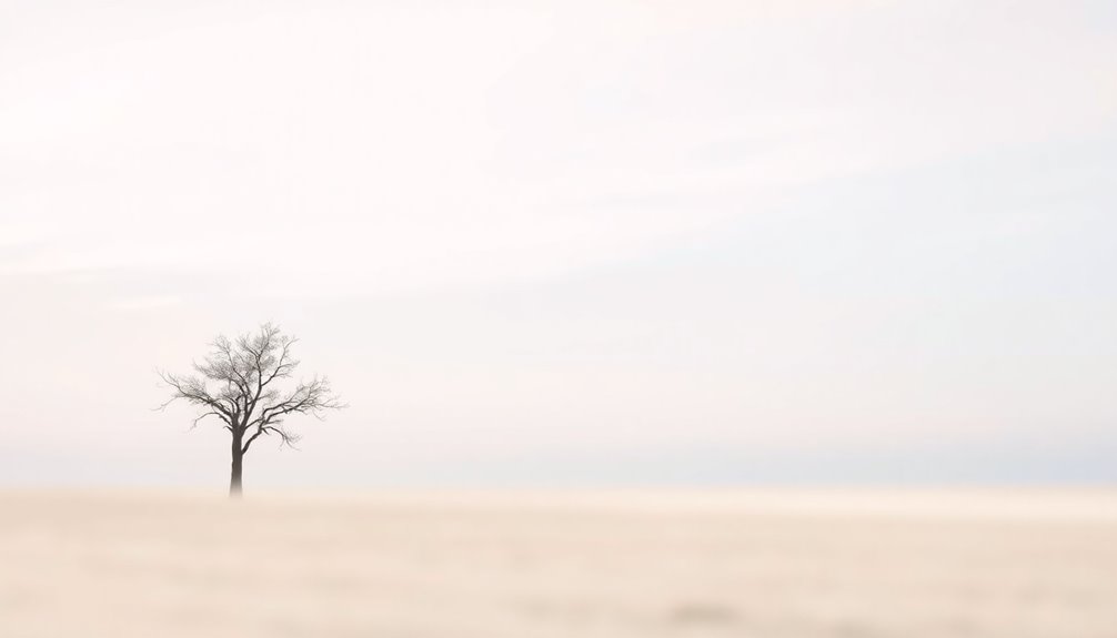 minimalist color mood setting