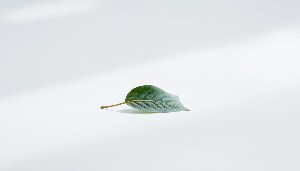 minimalist photography camera settings