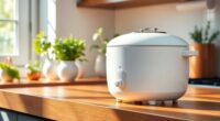 minimalist rice cooker guide