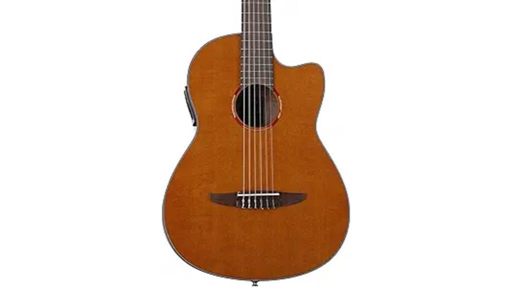 nylon string acoustic electric guitar