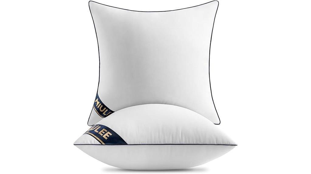 pillow inserts set two