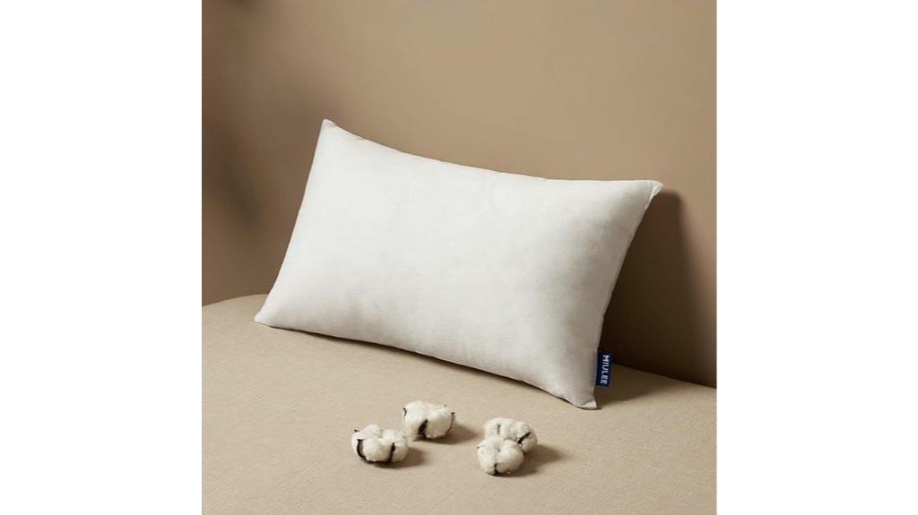 rectangle pillow insert 12x20