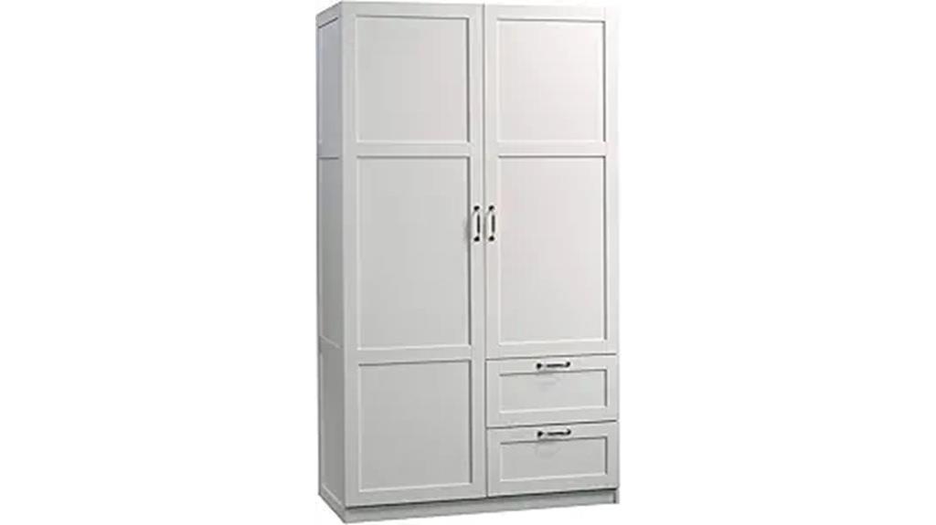 stylish storage cabinet solution