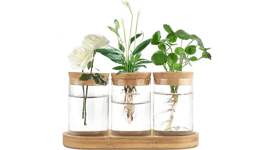 terrarium planter propagation station