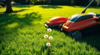 top lawn mowers 2025