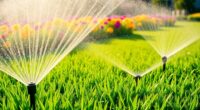 top lawn sprinkler picks