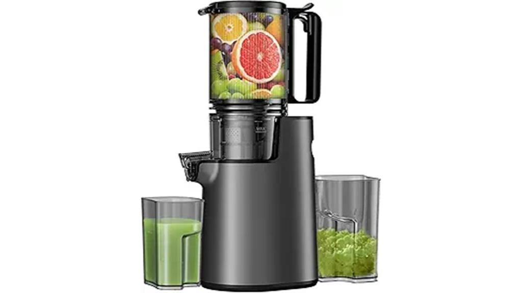 wide feed chute juicer