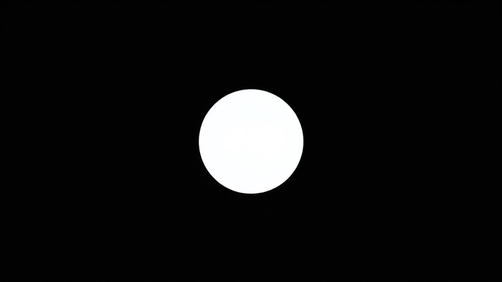 simple shapes bold visuals