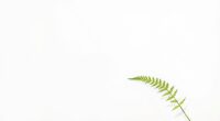 impact of minimalist design