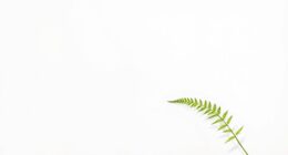 impact of minimalist design