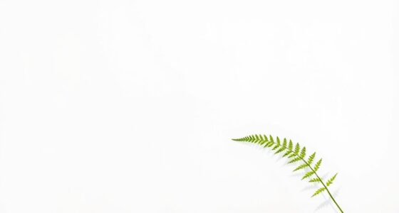impact of minimalist design