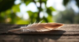 simplify interactions for impact