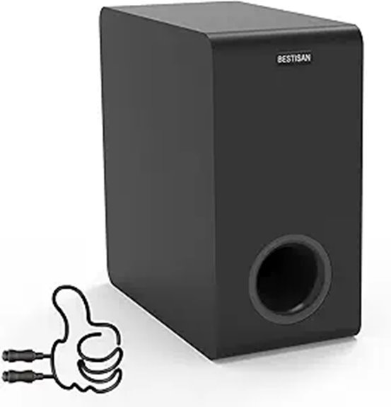 6 5 inch active subwoofer