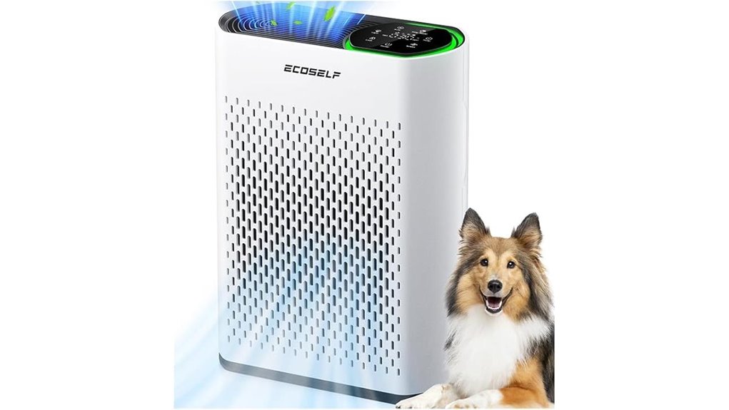 large hepa air purifier