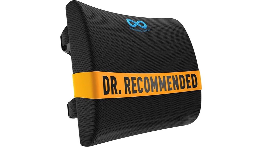 office lumbar support pillow